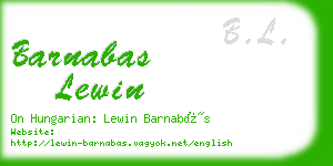 barnabas lewin business card